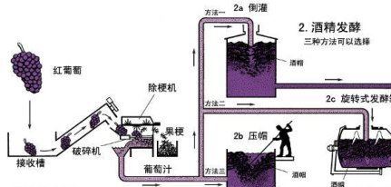 紅酒 長城華夏大酒窖干紅葡萄酒 煙臺 口感   國產(chǎn)酒示例圖5