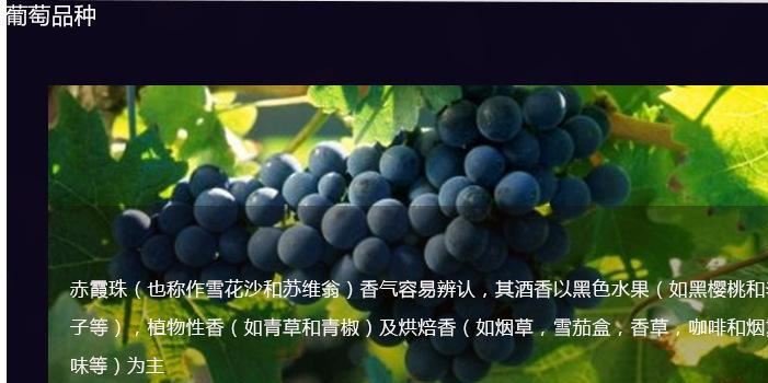 法國原瓶進口紅酒 拉菲傳奇波爾多AOC級別干紅葡萄酒示例圖2