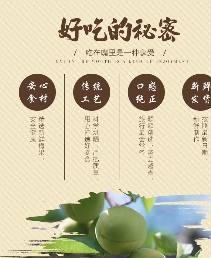 批發(fā)直銷 嘉應(yīng)子500g 李果干 果脯蜜餞原味 辦公室休閑零食嘉應(yīng)子示例圖3