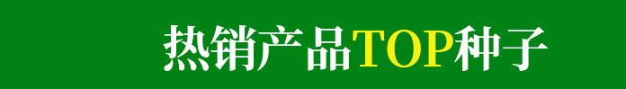 優(yōu)種網(wǎng) H12-4耐寒雜交一代西蘭花種子 青花菜種子—2000粒示例圖1