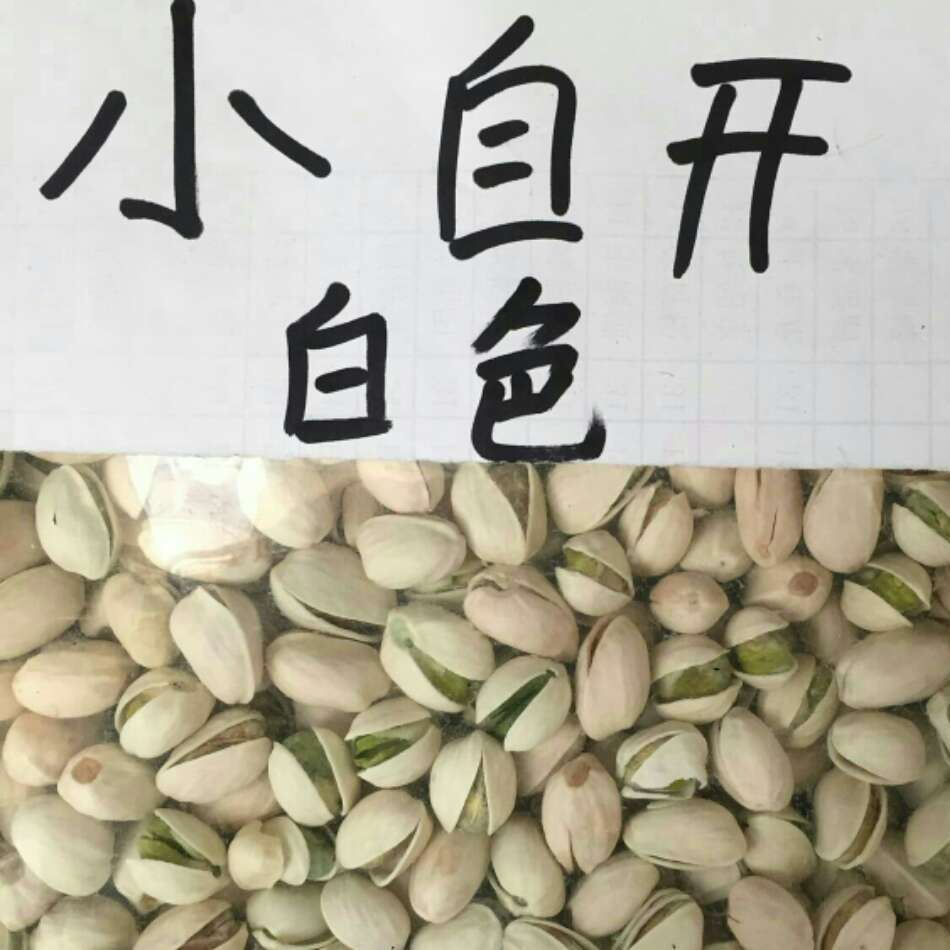 開心果批發(fā)散裝20斤整箱堅果廠家包郵零食干果2500g休閑新貨小自示例圖1