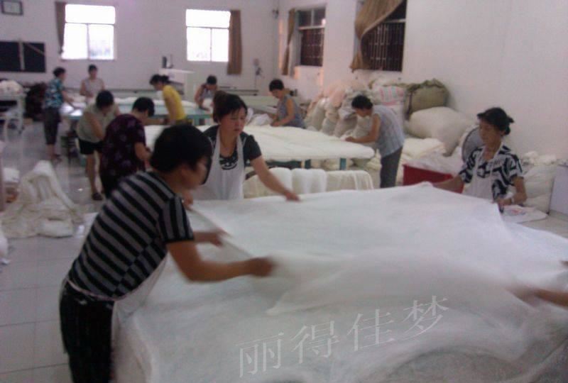 批發[麗得佳夢]可水洗桑蠶絲被子夏涼被.空調被護膚養顏透氣性強示例圖7