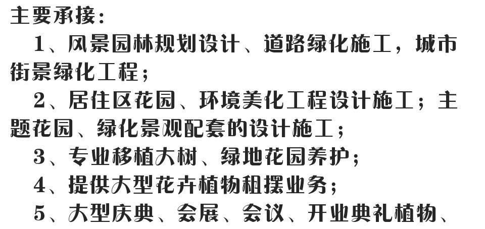 特價盆栽果樹苗四季小金橘果苗小柑桔盆景金桔樹苗當(dāng)年結(jié)果示例圖4