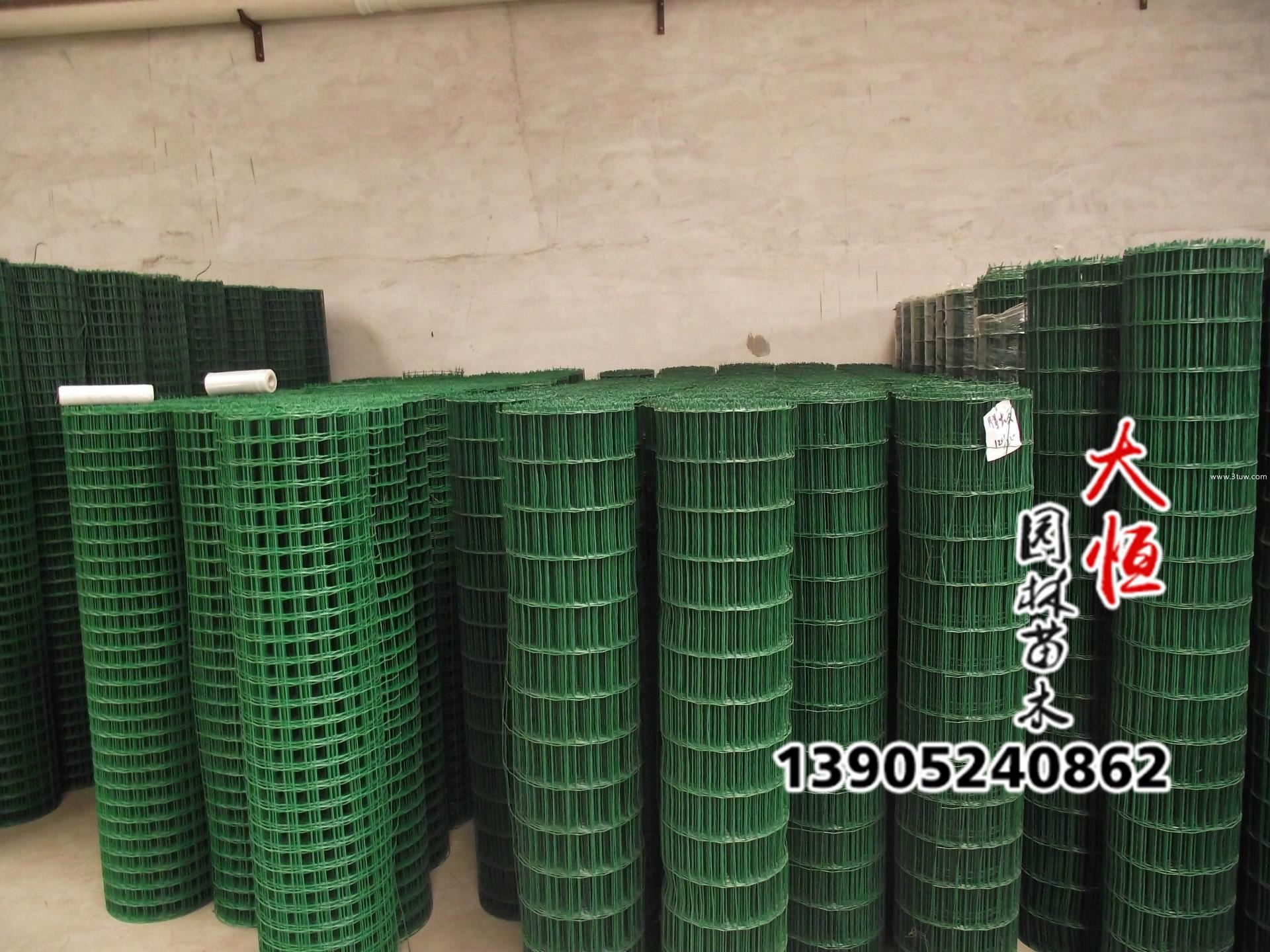 恒大荷兰网护栏网铁丝网养鸡果园养殖网隔离网围栏网硬塑围墙