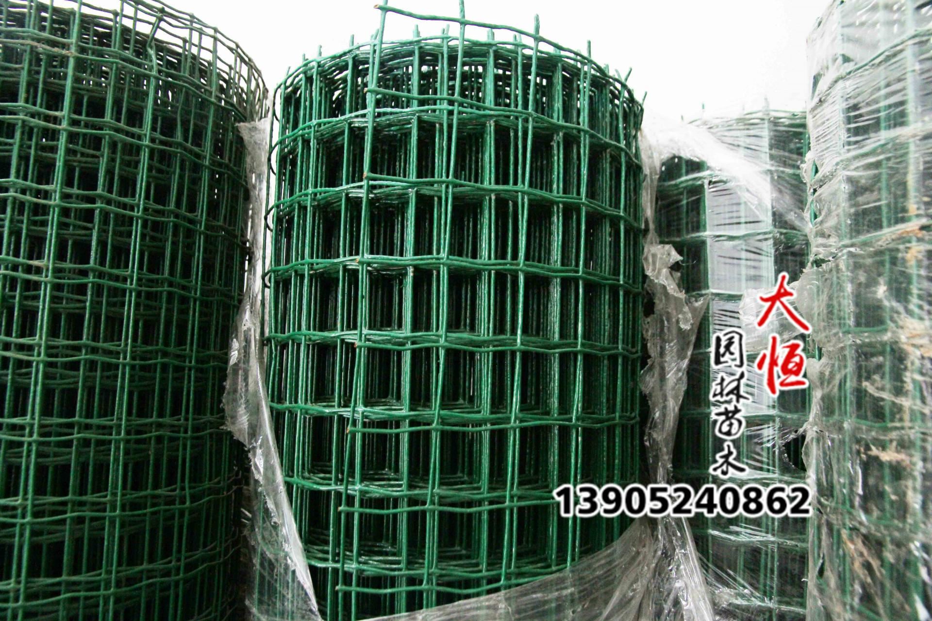 恒大荷兰网护栏网铁丝网养鸡果园养殖网隔离网围栏网硬塑围墙