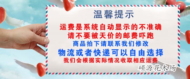 廠家直銷干支龍柳龍桑曲柳樹枝裝飾客廳落地玄關(guān)隔斷櫥窗裝飾干花示例圖1