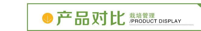 基地批發(fā)北美海棠樹 工程綠化樹木 北美海棠樹樹示例圖9