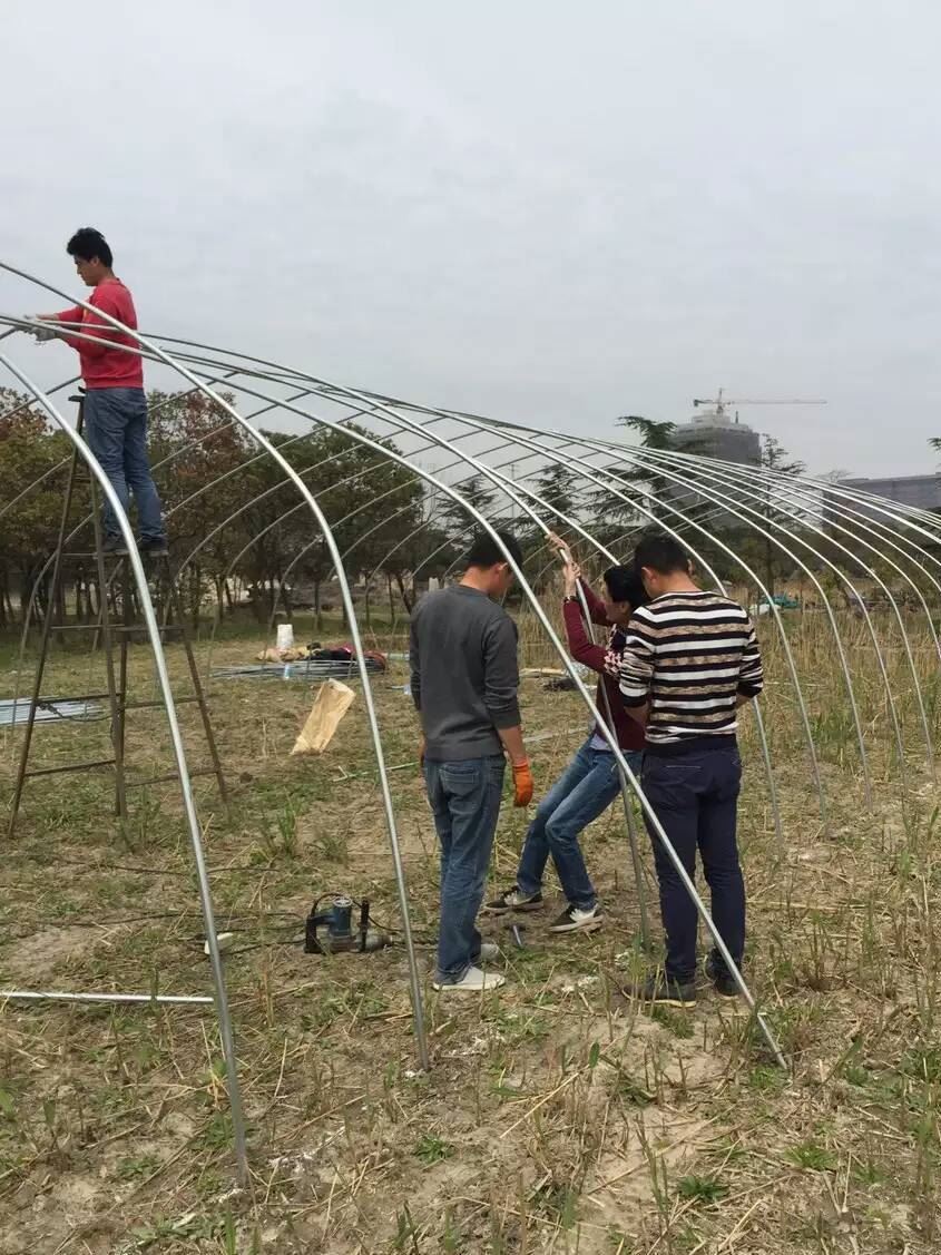 江蘇 大棚管大量現(xiàn)貨供應大棚骨架、蔬菜大棚骨架、農(nóng)用大棚骨架示例圖17