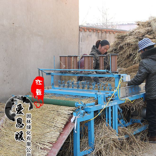 干稻草,適用于養(yǎng)殖蘑菇,道路稻草 打草繩大棚保溫示例圖3