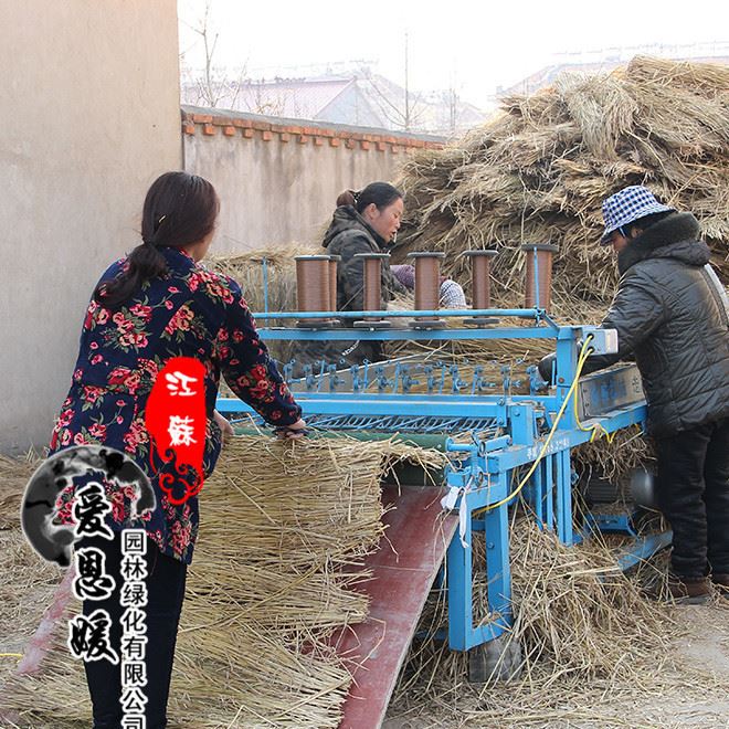 干稻草,適用于養(yǎng)殖蘑菇,道路稻草 打草繩大棚保溫示例圖2