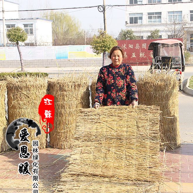 干稻草,適用于養(yǎng)殖蘑菇,道路稻草 打草繩大棚保溫示例圖4