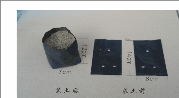 木瓜苗袋，果苗袋，瓜苗袋示例圖4