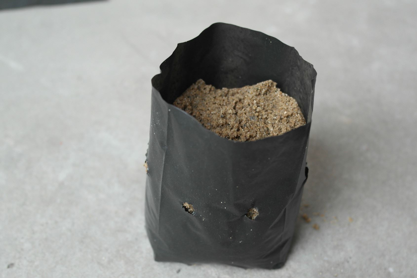 木瓜苗袋，果苗袋，瓜苗袋示例圖10