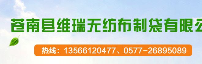 PU皮革棉被袋 新年秋冬厚棉被收纳包 床上用品袋定做示例图1