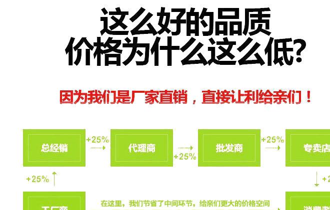 直銷高強絲 滌綸 錦綸安全帶 高空作業(yè)用安全帶 全方位歐式安全帶示例圖3