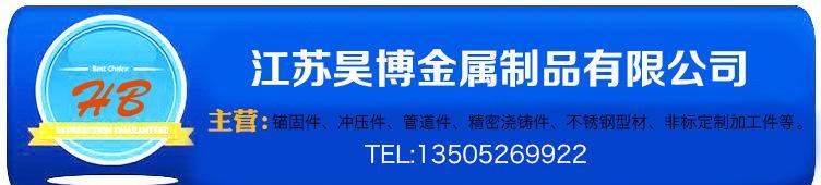 V型304不銹鋼錨固釘 耐熱耐高溫錨固件 防火爐窯錨固件示例圖1