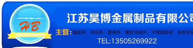 廠家直銷 高品質(zhì) 不銹鋼錨固件、Y型錨固件示例圖1