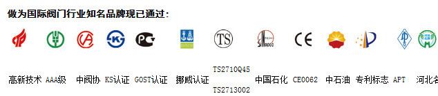 柱塞式截止閥   鑄鋼  適用  水、蒸汽、油品示例圖3