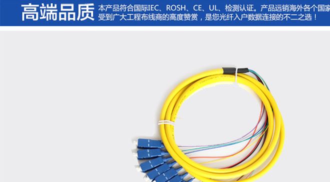 12芯束狀尾纖SC方頭單模光纖跳線電信級可訂做FC/ST頭尾纖示例圖6