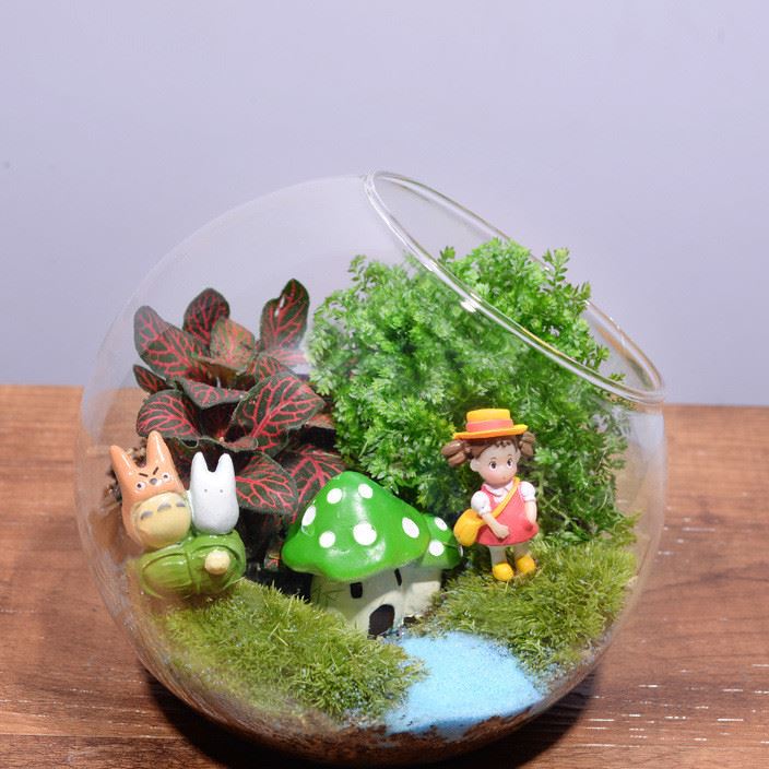 苔藓微景观生态瓶办公室桌面植物创意奇趣绿植迷你