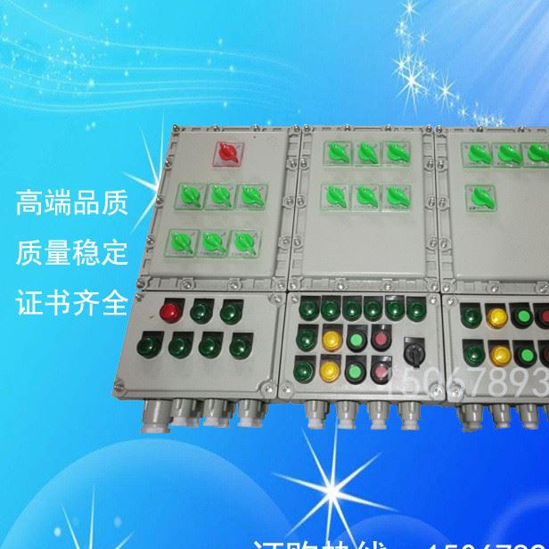 防爆箱 2000*800 1800*800 防爆配電箱 防爆儀表箱 溫控箱 觸摸屏示例圖2