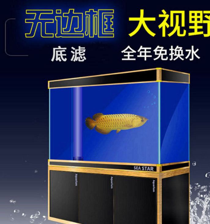 廠家直銷 生態底濾水族箱 水族用品 普通熱彎玻璃缸 大型玻璃 魚示例圖7