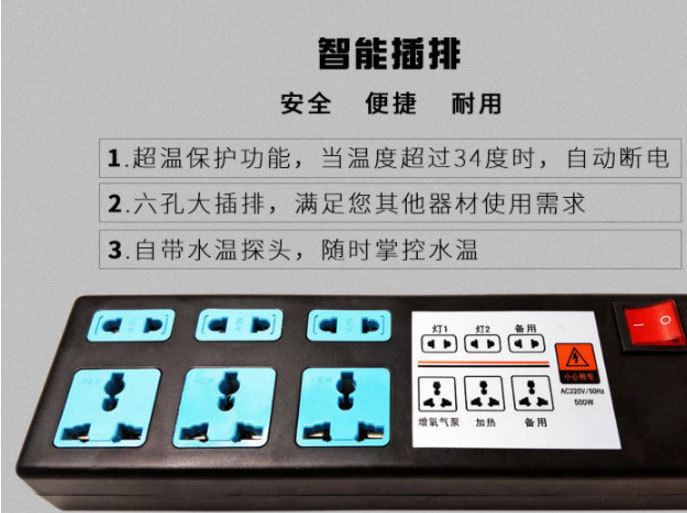 廠家直銷 生態底濾水族箱 水族用品 普通熱彎玻璃缸 大型玻璃 魚示例圖12
