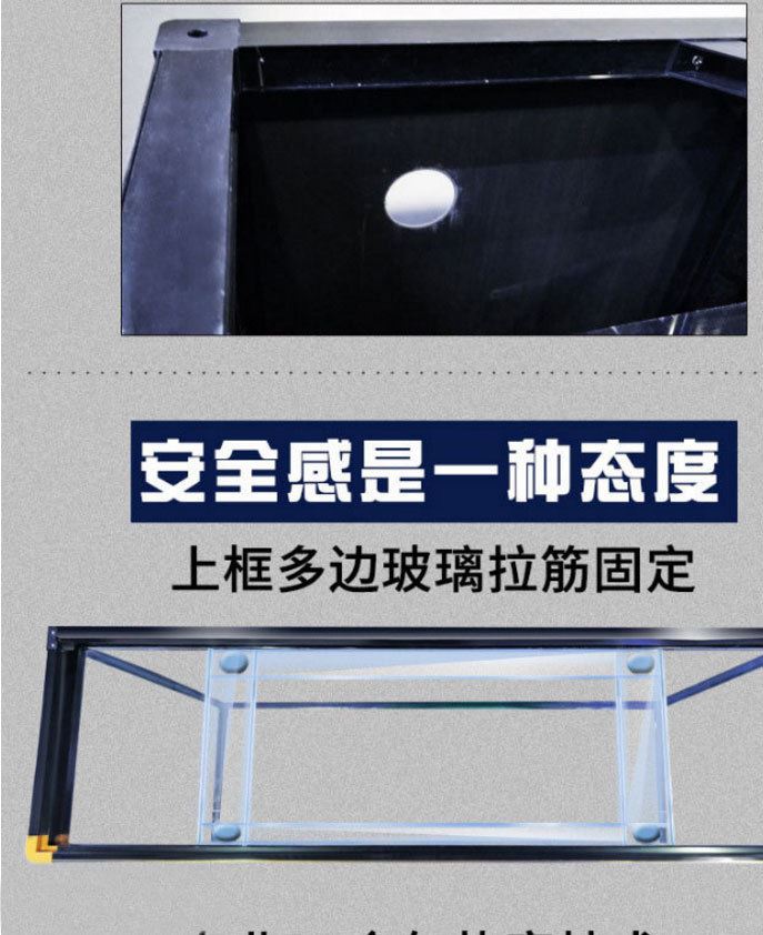 廠家直銷 生態底濾水族箱 水族用品 普通熱彎玻璃缸 大型玻璃 魚示例圖16