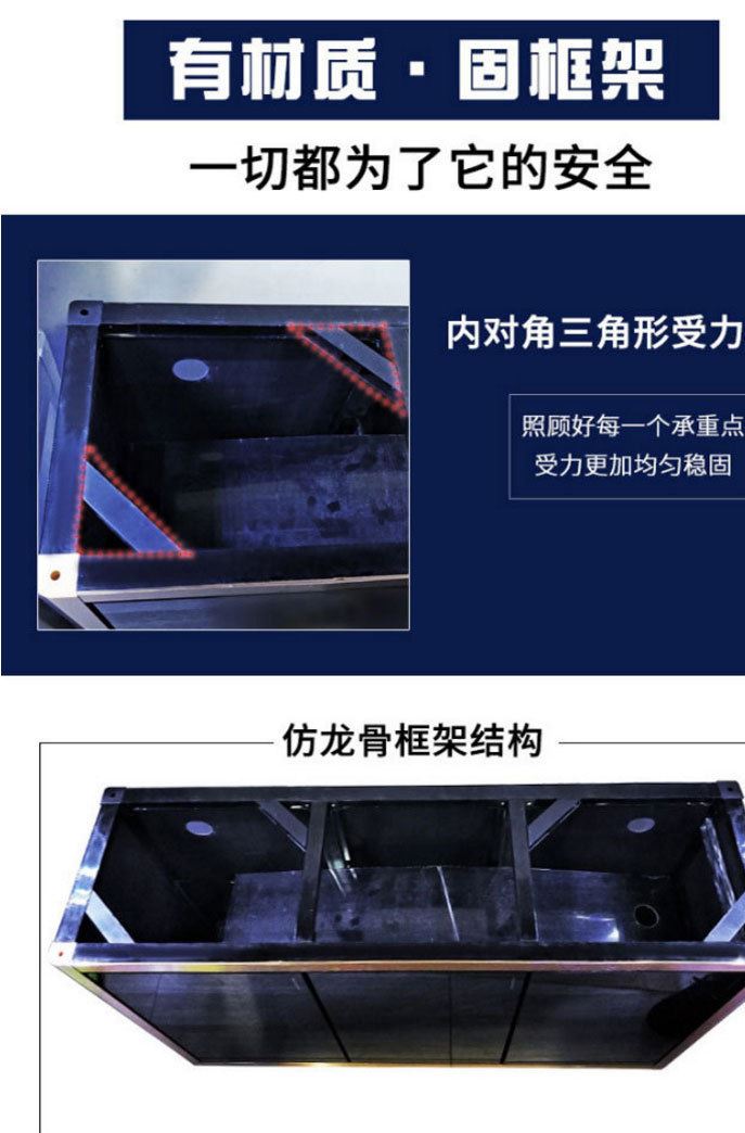 廠家直銷 生態底濾水族箱 水族用品 普通熱彎玻璃缸 大型玻璃 魚示例圖19