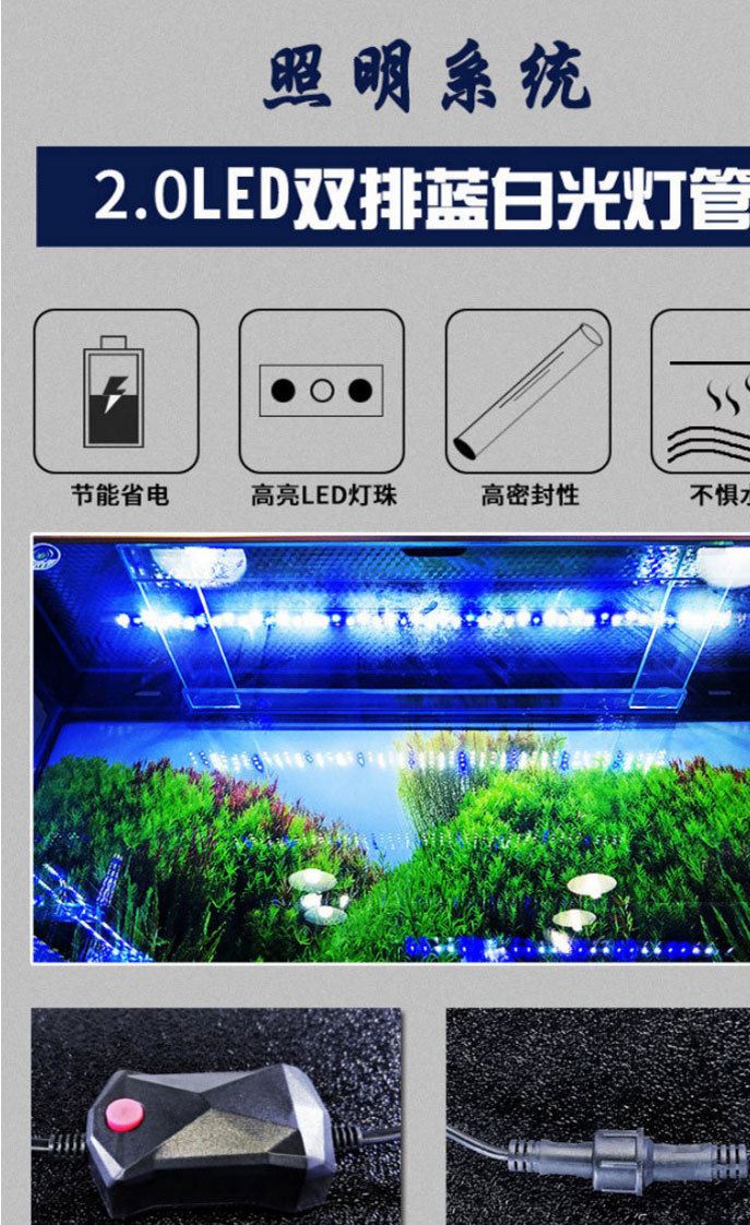 廠家直銷 生態底濾水族箱 水族用品 普通熱彎玻璃缸 大型玻璃 魚示例圖21