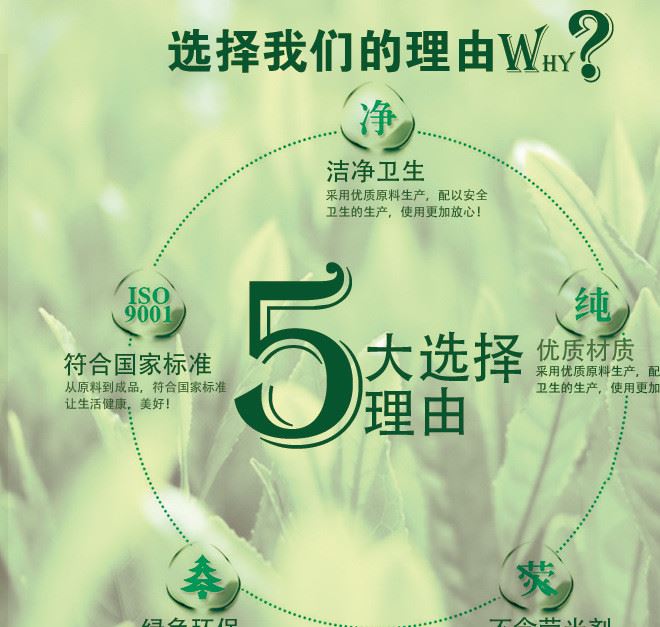 珍寶大盤卷紙600g 全木漿廁用大盤衛(wèi)生紙卷紙商務(wù)酒店大盤紙示例圖2