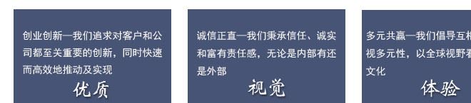 廠家直銷 春夏復(fù)古漂白平紋混紡面料 襯衫里布TC布交織類面料批發(fā)示例圖21