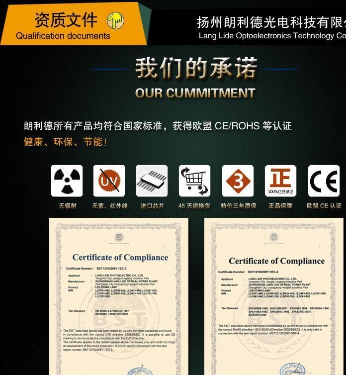 LED路燈燈頭燈具玉蘭燈火炬燈改裝15W20W21W24W30W42W60W大功率示例圖7