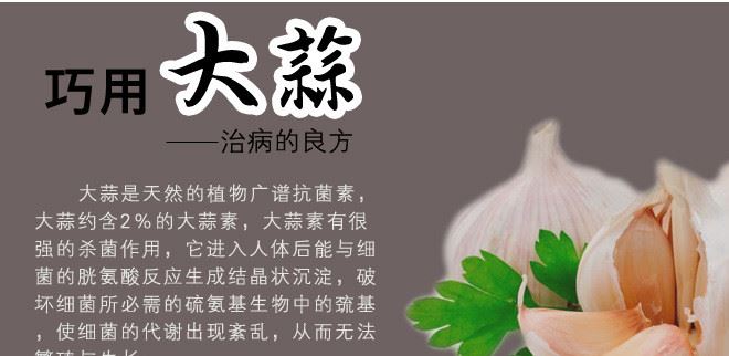 不銹鋼色壓蒜器搗蒜器廚房創(chuàng)意小工具廚房壓蒜器捻蒜器多功能示例圖16