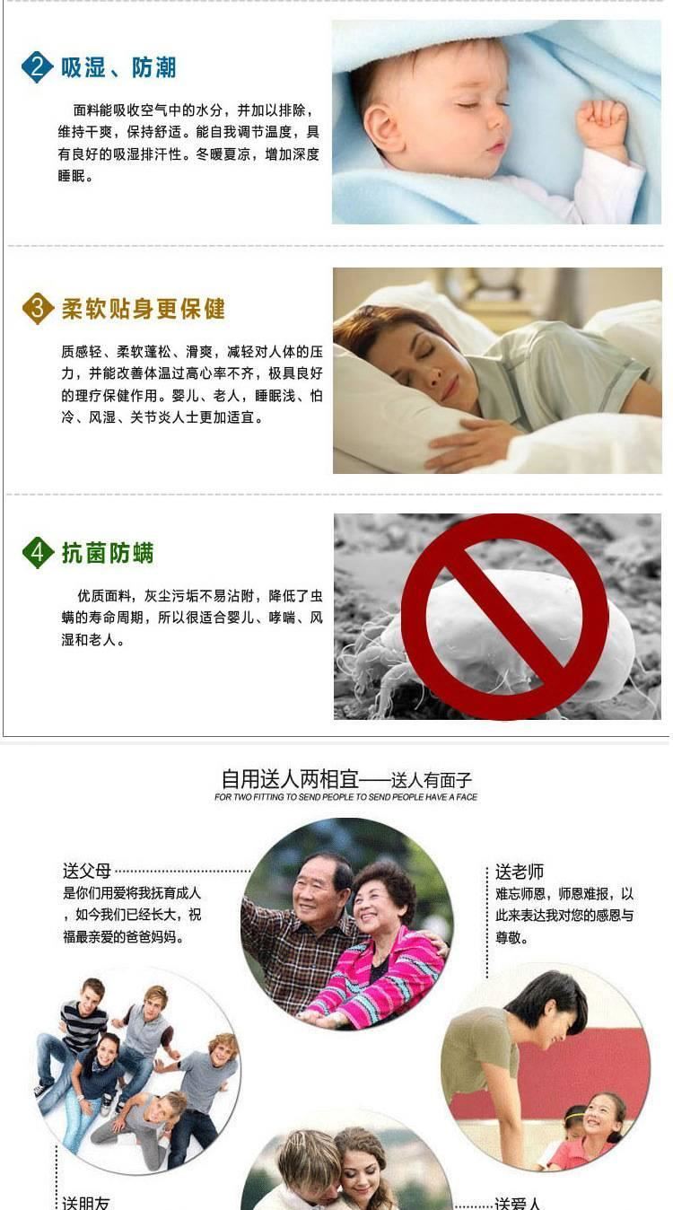 棉加厚保暖羽絨床墊廠家批發(fā) 一件代發(fā) 級(jí)賓館學(xué)生宿舍專(zhuān)用示例圖4