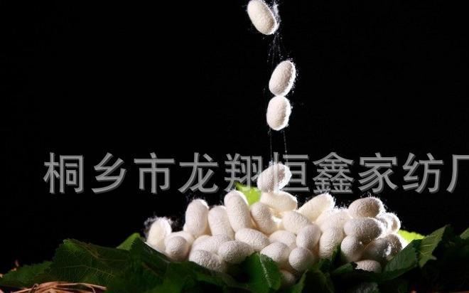 提供桐鄉(xiāng)廠家質(zhì)桑蠶絲光胎桑蠶絲原料，桑蠶絲被脫脂不漂白示例圖5