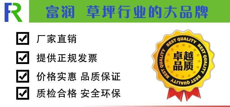 富潤廠家直銷運動場草坪 人工足球草耐磨假草皮 出口品質示例圖1