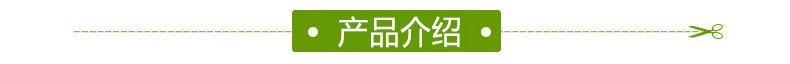 梓樹種子 梓樹苗 開原金葉梓樹 園林梓樹 梓樹苗批發(fā) 綠化苗木示例圖34