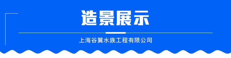 海洋餐廳魚缸制作 海洋餐廳水族館 承接海洋亞克力餐廳工程示例圖12