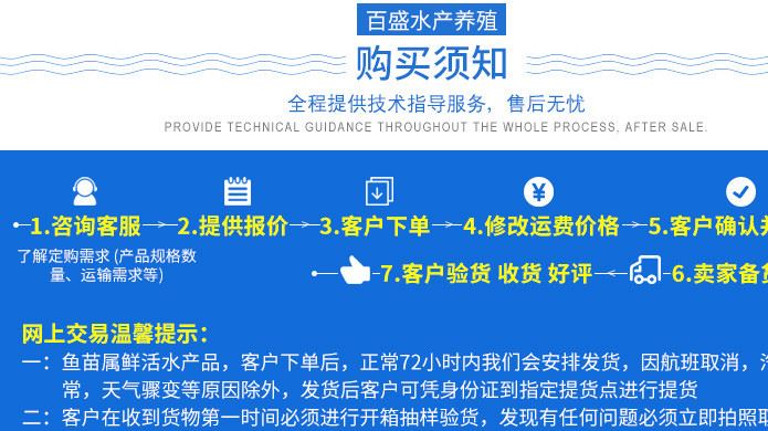 澳洲淡水龍蝦苗 龍蝦苗　淡水龍蝦苗　小龍蝦苗　龍蝦苗批發(fā)示例圖12