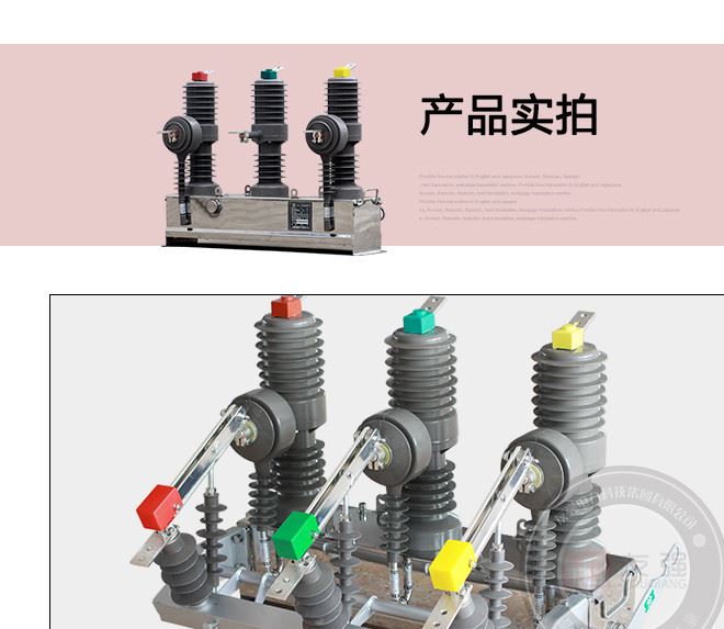 10-12KV高壓ZW32-12F/630-20戶外智能真空斷路器柱上開關(guān)(看門狗)示例圖5