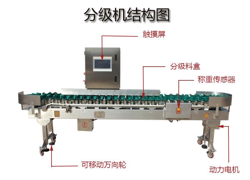 料盒式全自动重量分级机 海蛎子多级分选机 牡蛎称重分拣机