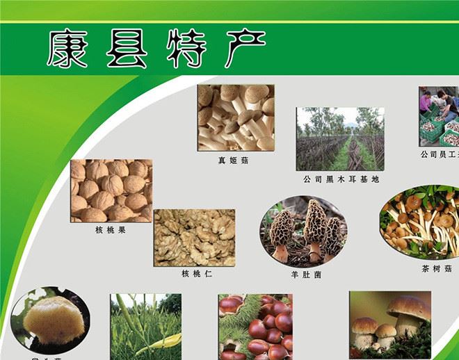 陇南康县兴源土特产 袋装滑菇150g 干货食用菌野生香菇产地直销