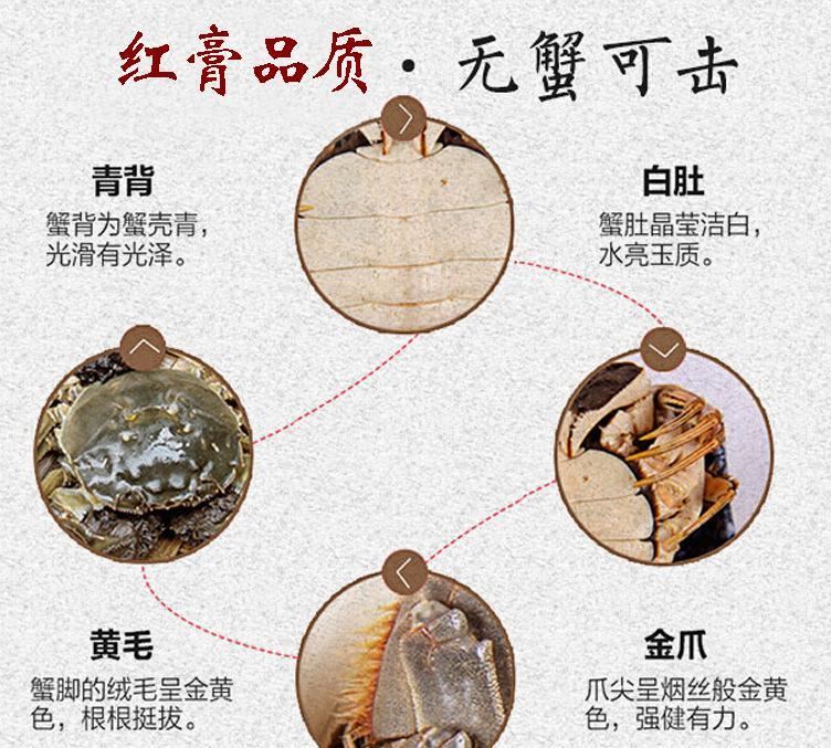 批發(fā)大閘蟹禮盒 江蘇坤沛鮮活河蟹  佳節(jié)螃蟹禮盒示例圖13