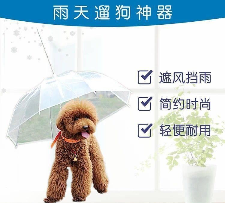 雨傘供應(yīng) PVC透明傘 寵物狗狗傘 環(huán)保傘 量大從優(yōu)示例圖32