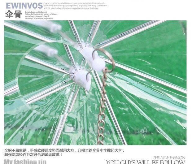雨傘供應(yīng) PVC透明傘 寵物狗狗傘 環(huán)保傘 量大從優(yōu)示例圖38