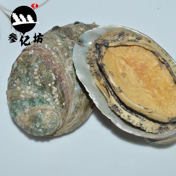 批發(fā)供應(yīng)淡干鮑魚 干鮑魚 威海海產(chǎn)品肉質(zhì)肥厚 營養(yǎng)海鮮干貨示例圖1