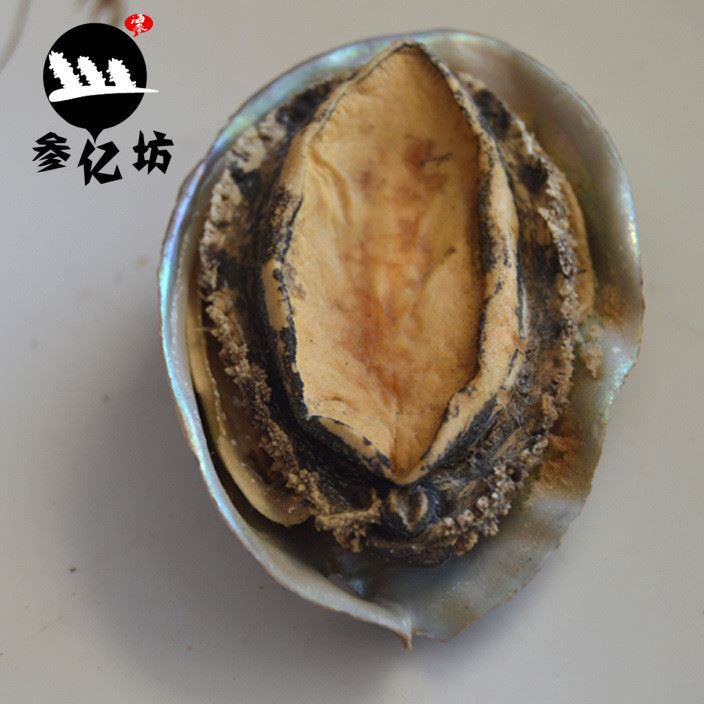 批發(fā)供應(yīng)淡干鮑魚 干鮑魚 威海海產(chǎn)品肉質(zhì)肥厚 營養(yǎng)海鮮干貨示例圖3