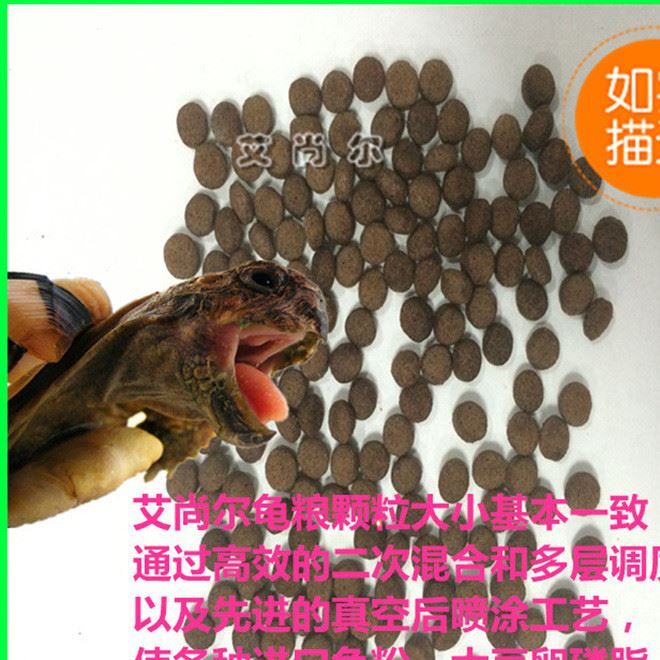 艾尚爾親龜4號(hào)飼料石金錢龜草龜種龜糧食膨化龜糧觀賞龜糧示例圖4