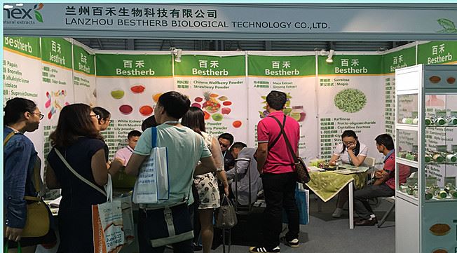 廠家直銷 全國包郵 中性蛋白酶 20萬單位示例圖8